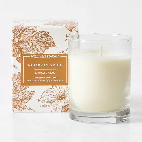 Williams Sonoma Pumpkin Spice Candle