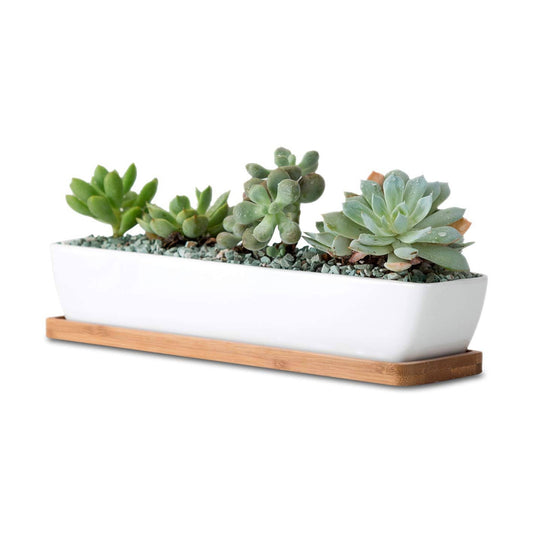 11.1 inch Long Rectangle White Ceramic Succulent Planter Pots / Mini Flower Plant Containers