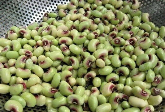 500+Seed Top Pick Pinkeye Purple Hull Peas Cow Pea Southern Peas Seeds