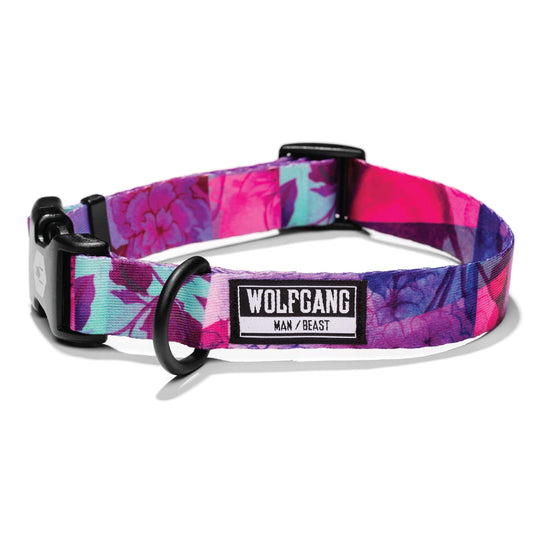 Wolfgang Overland Dog Collar, Medium