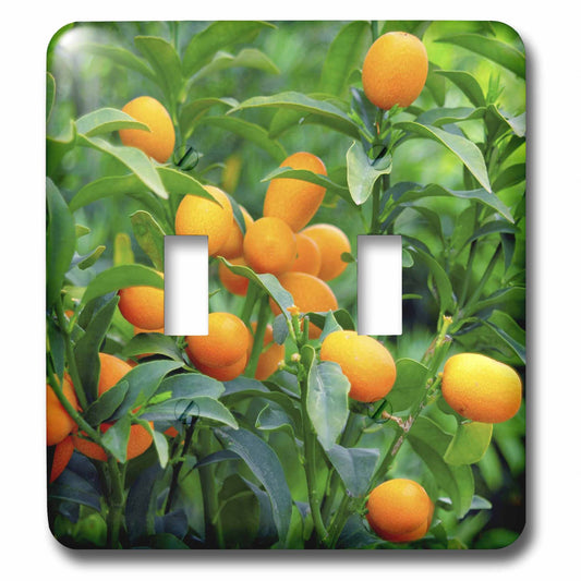 3drose lsp_83504_2 Kumquat Fruit Tree Agriculture Na01 Pri0002 Prisma Double Toggle Switch