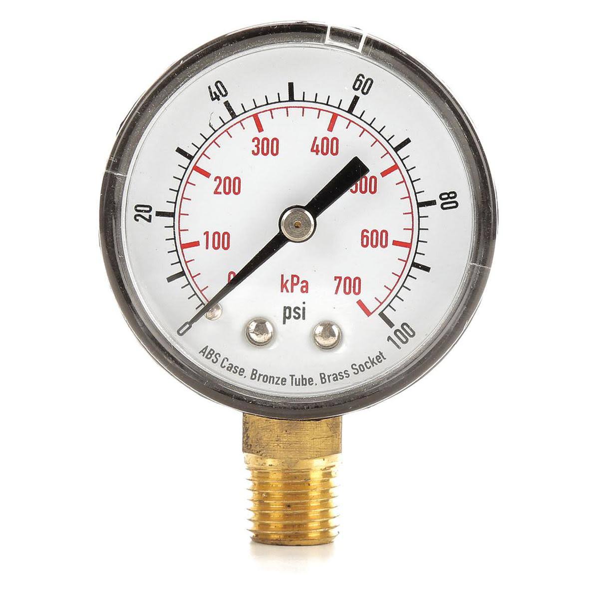 4FLU1 Pressure Gauge, Test, 2 in