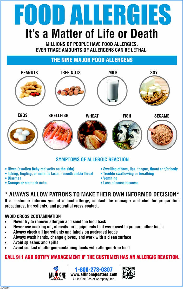 2022 Food Allergy Poster 11x17 English Laminated - All In One Poster Company