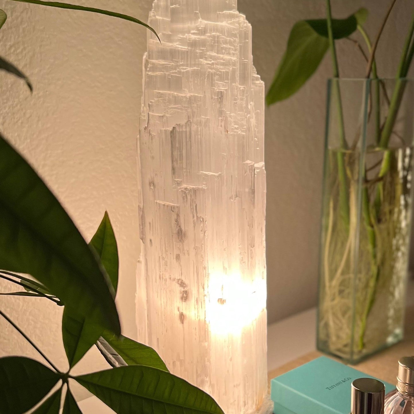 XL selenite Crystal lamp|