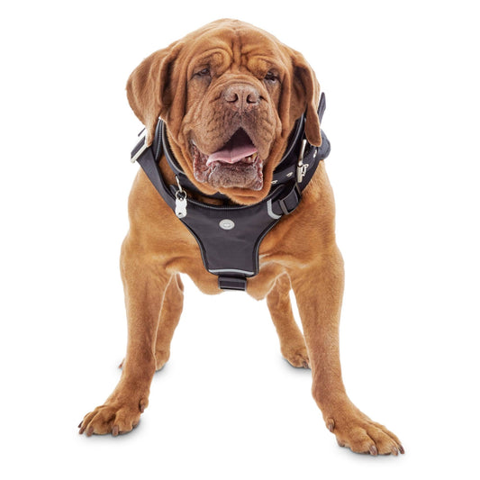 YOULY The Champion Big Dog Harness - Black - XXL/XXXL - Each