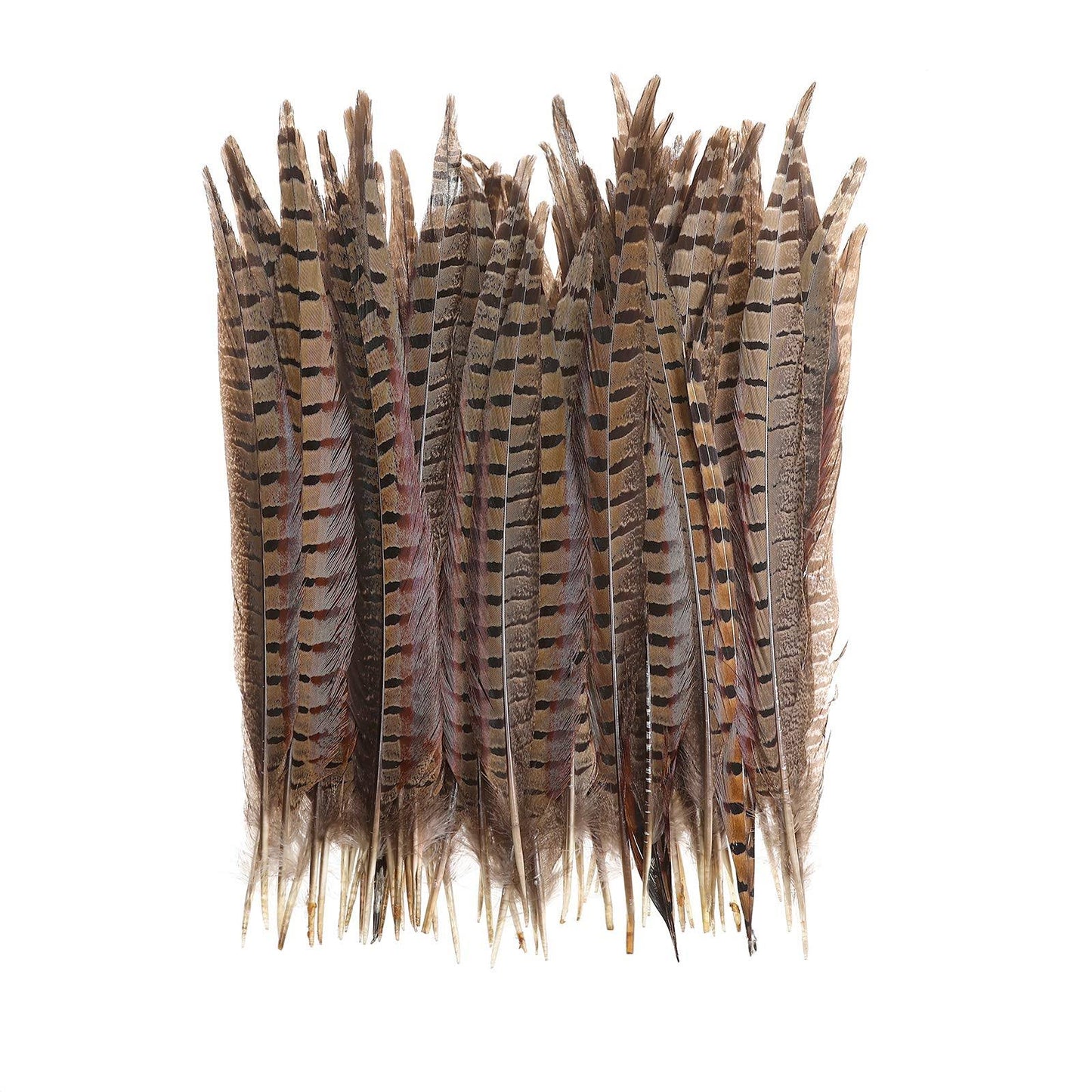 20pcs Natural Pheasant Tail Feathers - Tail Feather for DIY Crafts Party Festival Decoration Erikord(12-14inch, Pheasant Tail)