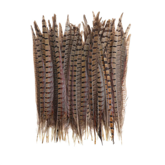 20pcs Natural Pheasant Tail Feathers - Tail Feather for DIY Crafts Party Festival Decoration Erikord(12-14inch, Pheasant Tail)