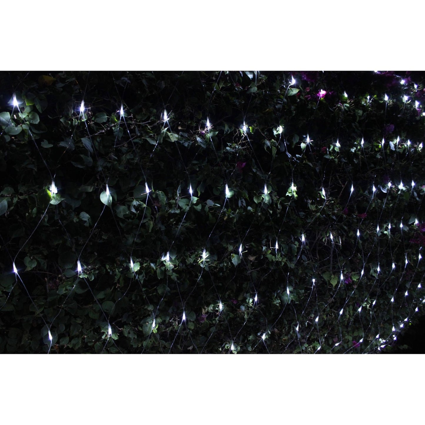 300 LED Christmas Net Lights, Warm White