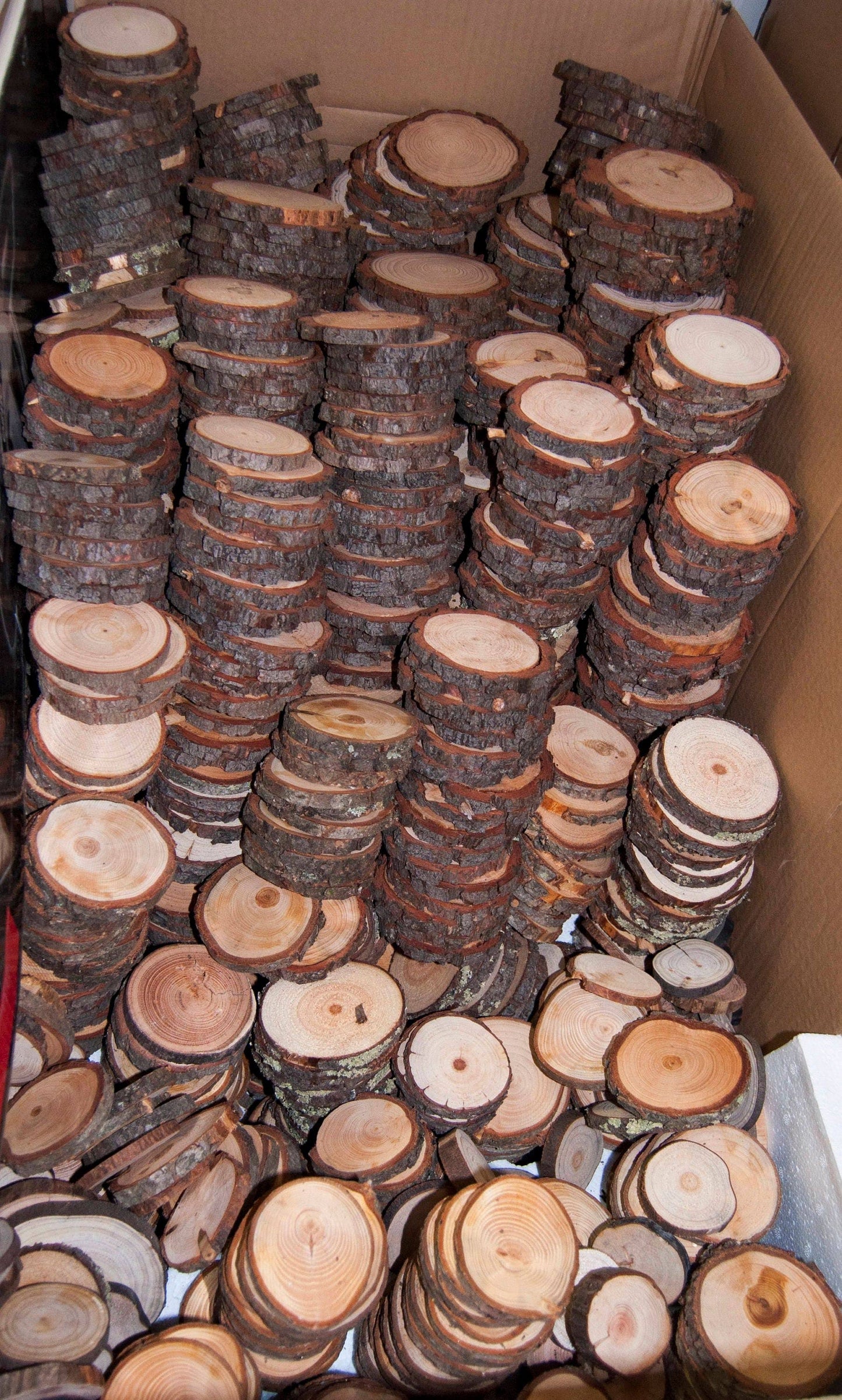 100 Discount Woodslices * Assorted Pack of Wood Slices * Tree Slices, Branch Slices * Bulk Wood Slices * Wood Rounds, 100 Wood Slice Seconds