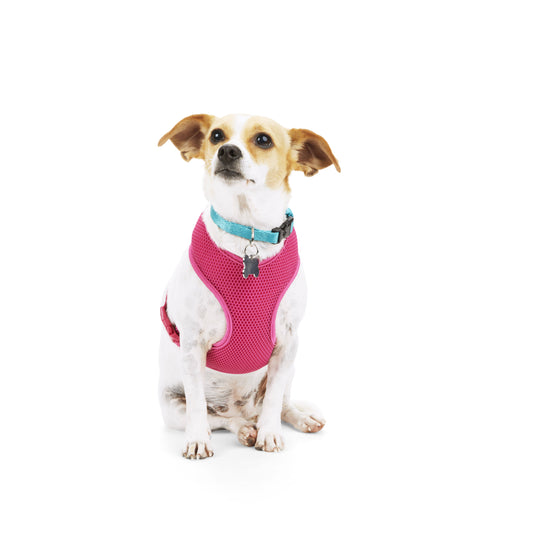 YOULY The Classic Hot Pink Mesh Dog Harness