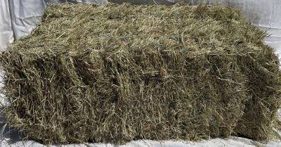 2-String Coastal Bermuda Hay Horse Feed