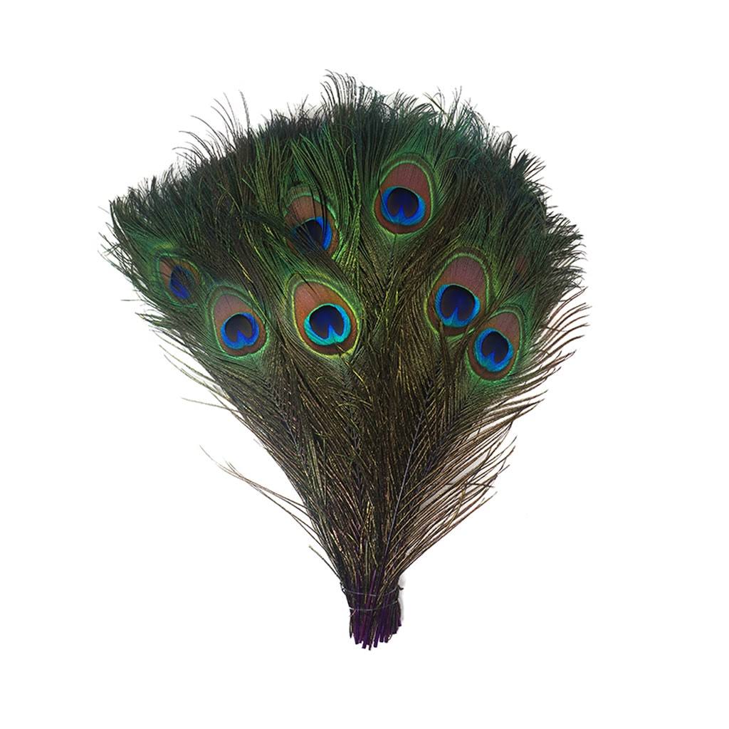 Zucker Feather Products Peacock Tail Eyes Stem Dyed - Purple